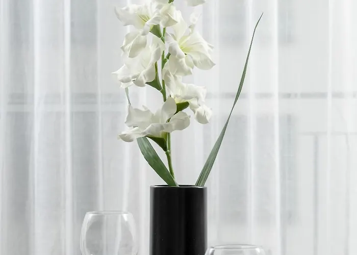 Family Two-level With Air Conditioning By Renters